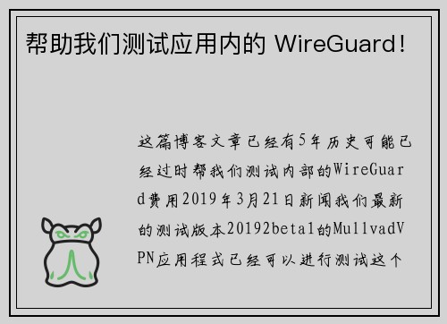 帮助我们测试应用内的 WireGuard！