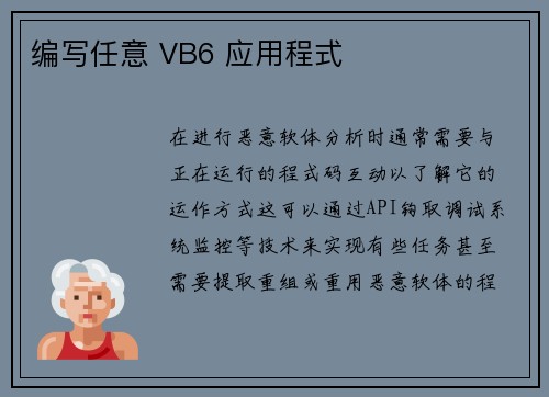 编写任意 VB6 应用程式 